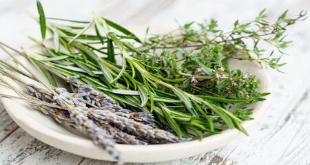 Fresh herbs